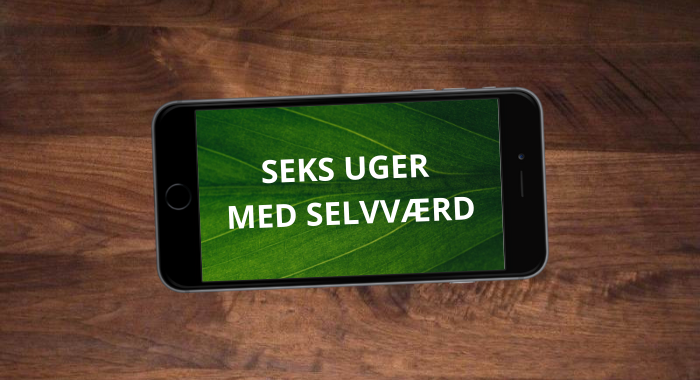 SEKS UGER MED SELVVÆRD (6)